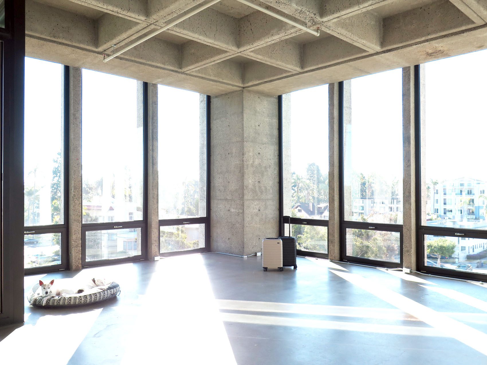 Home Loft Tour